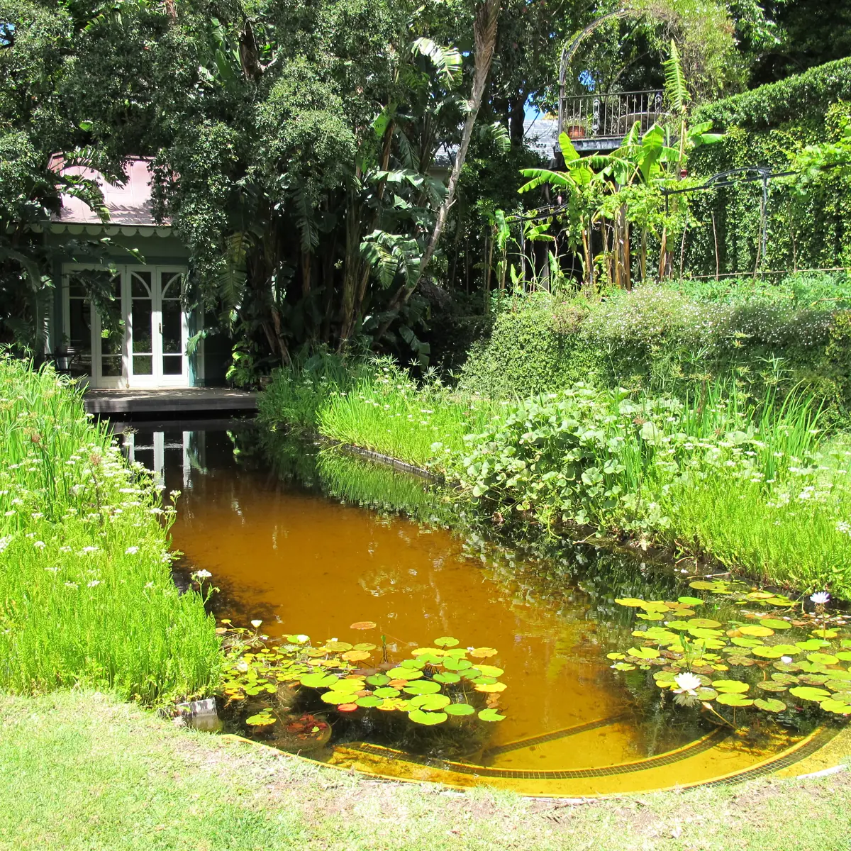 Circular natural pond — Bishops Court, Cape Town